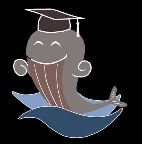 Bildung & Teilhabe